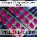 Kamagra 100Mg Oral Jelly Use 10